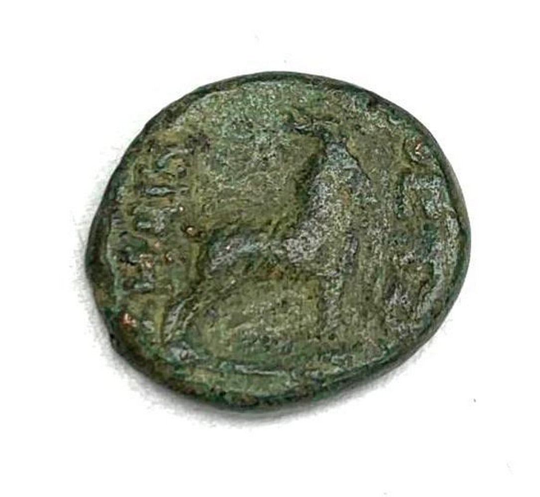 149 B.C. Thessalonica Macedonia Coin (1 of 2)