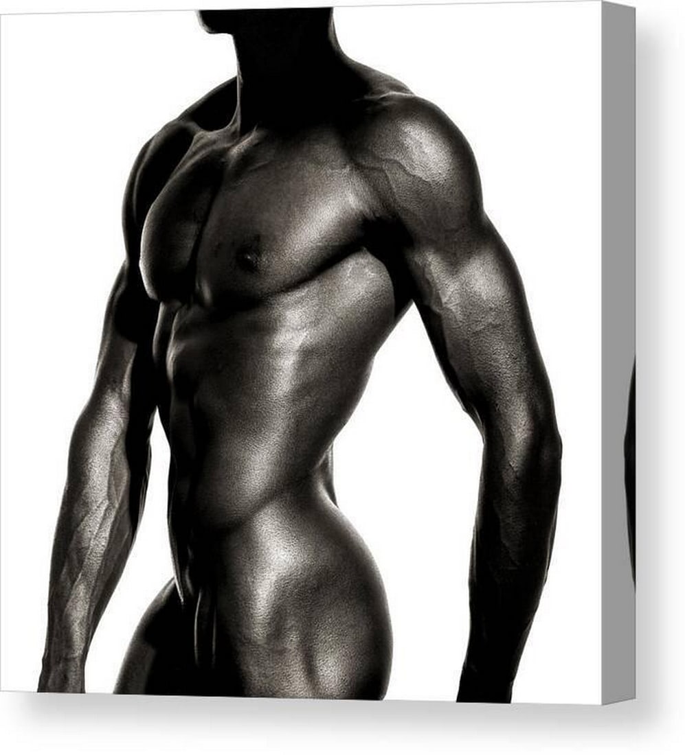 Sculpted Male Torso in Monochrome Canvas Print Wall Art: Sculpted Male Torso in Monochrome Canvas Print Wall Art This canvas print features Sculpted Male Torso in Monochrome by Anders Kustas. The composition presents a sculpted male torso in monochrome, emp