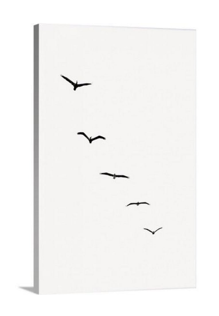 5 Black Birds Canvas Reproduction Print: 5 Black Birds Canvas Reproduction Print Berlin-based designer Boris Draschoff creates art that follows the literal translation from Greek of the word ‘kaleidoscope’, meaning ‘observation of beau