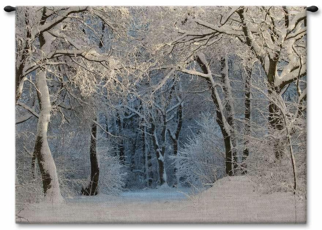 Snowy Tranquil Forest Wall Tapestry: Snowy Tranquil Forest Wall Tapestry This woven wall tapestry features a peaceful winter landscape, depicting a quiet forest blanketed in fresh snow. Soft tones and detailed weaving create a realistic 