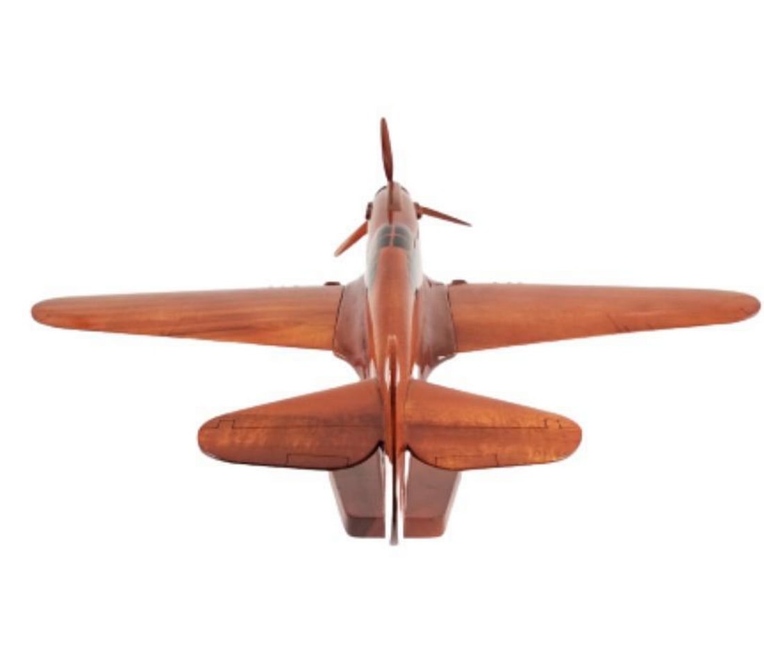 Curtiss P-40 Warhawk Model Plane - 3