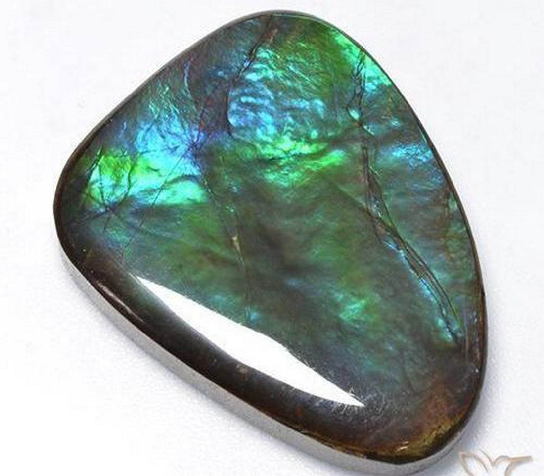24.07 carat Rainbow Ammolite Gemstone: 24.07 carat Rainbow Ammolite Gemstone, loose Certified Ammolite from Canada, Natural Gem, 27.4 x 21.1 mm Type: Ammolite Weight: 24.07 ct 1 gem Approximate Size: 27.4 X 21.1 X 4.6 mm Shape: Fancy