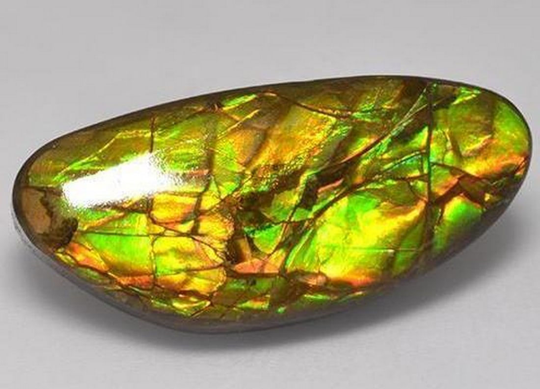 17.56ct Canadian Ammolite Cabochon: 17.56ct Canadian Ammolite Cabochon Specifications: Type: Ammolite Weight:17.56 ct Size:28.2 x 12.8 x 5.3 mm Shape: Fancy Cabochon Color: Multicolor Clarity: Opaque Treatment: Assembled Origin: Canada