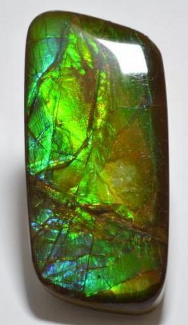 23.28ct Canadian Ammolite Cabochon: 23.28ct Canadian Ammolite Cabochon Specifications: Type: Ammolite Weight: 23.38 ct Size: 33.7 x 14.7 x 4.7 mm Shape: Fancy Cabochon Color: Multicolor Clarity: Opaque Treatment: Assembled Origin: