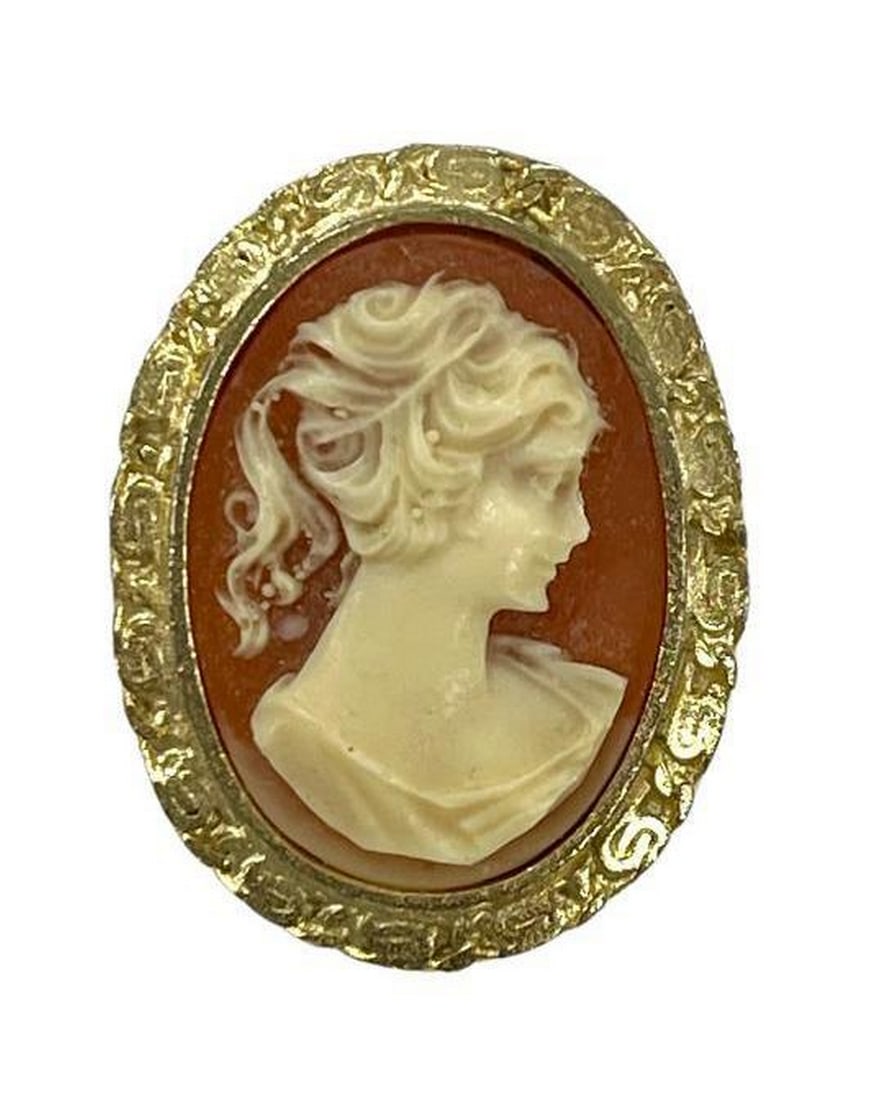 Victorian Era Lady Coral Cameo Gold Brooch (1 of 3)