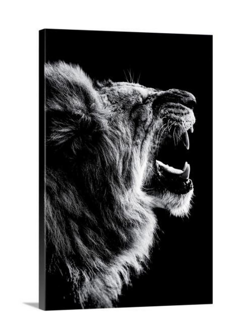 Dark Lion Roaring Canvas Reproduction Print: Dark Lion Roaring Canvas Reproduction Print Wouter Rikken’s artwork can be described as imaginative and unique. Influenced by everything that surrounds him, each photo tells a unique story with illu