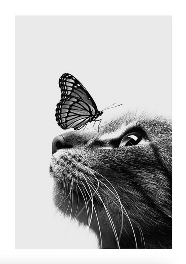 Cat and Butterfly Black and White Poster (1 of 1)