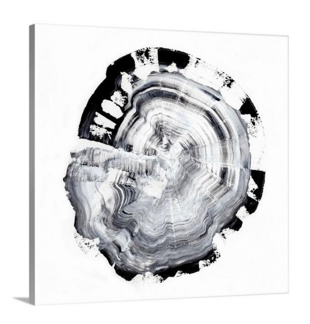Abstract Black and White Tree Ring Canvas Reproduction Print: Abstract Black and White Tree Ring Canvas Reproduction Print With a background in classical oil painting and medical illustration, the artist Ethan Harper employs a painterly approach to his work whil