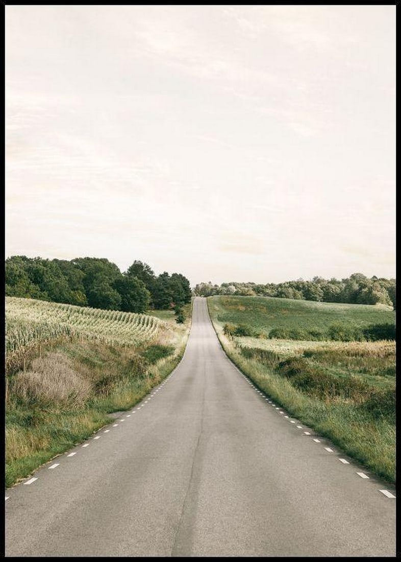Serene Country Road Poster Print - 28" x 20": Serene Country Road Poster Print - 28" x 20" Immerse yourself in the tranquility of nature with our captivating poster print, designed to transport you from the hustle and bustle into the