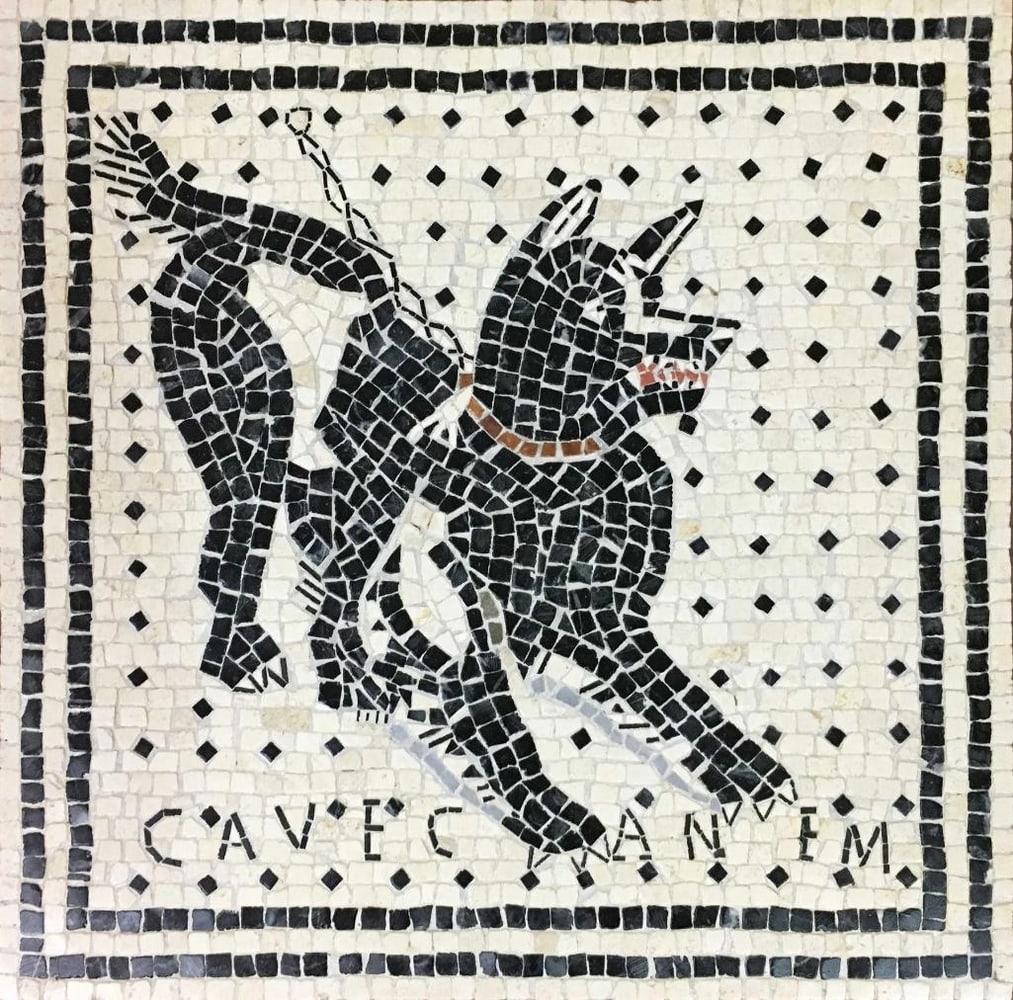 Cave Canem Mosaic (1 of 2)