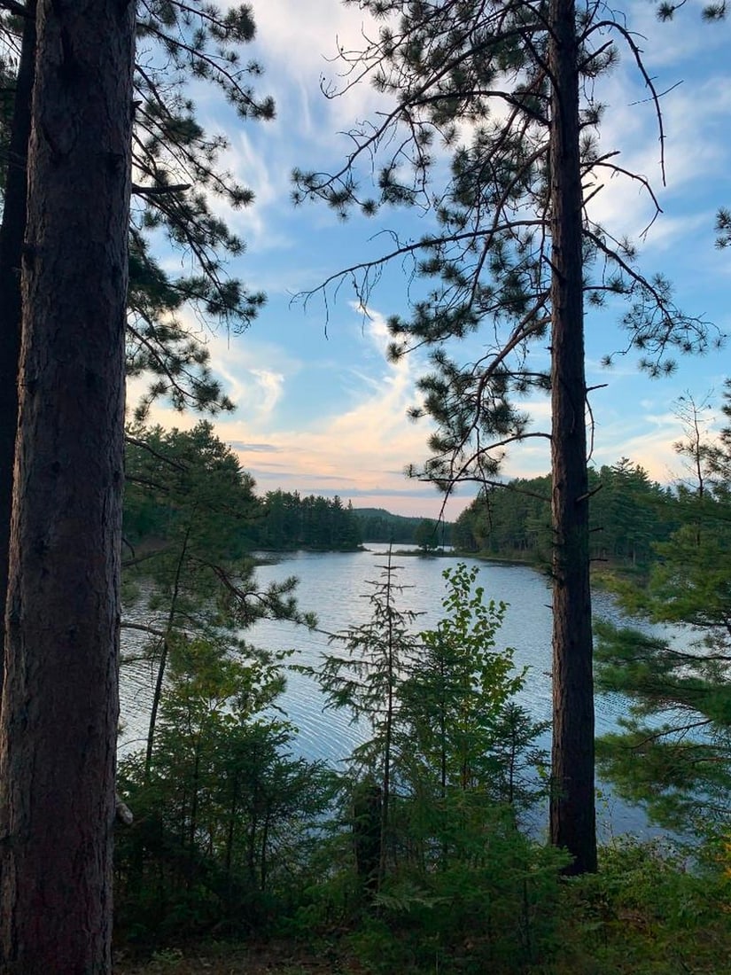 Hidden Lake View: Hidden Lake View Experience the quiet beauty of a secluded lake with this exclusive hand-painted canvas opportunity. The photograph is taken through a frame of trees, offering a natural window to the
