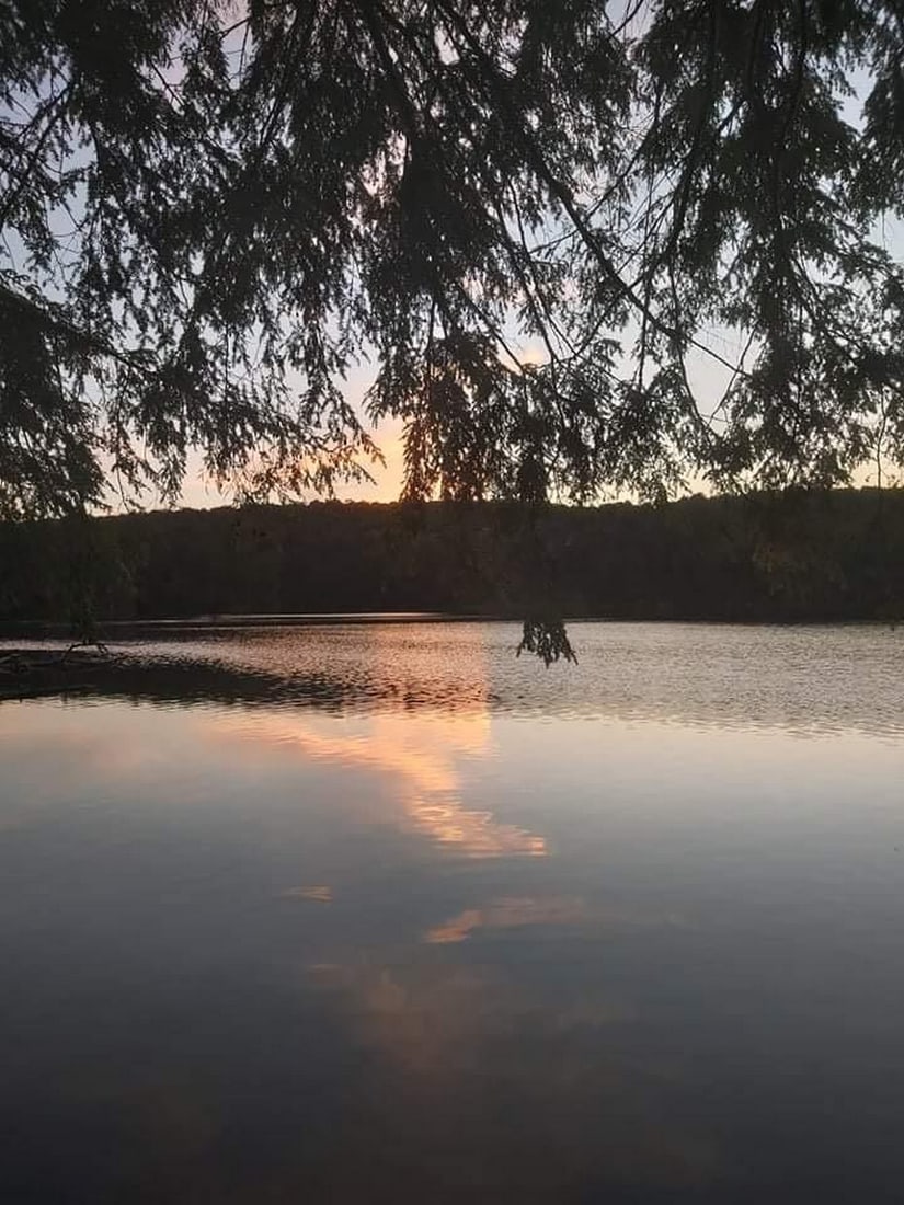 Twilight Reflections: Twilight Reflections Immerse yourself in the quiet beauty of dusk with this exclusive hand-painted canvas opportunity. The photograph is taken from beneath a tree, its branches and leaves forming a