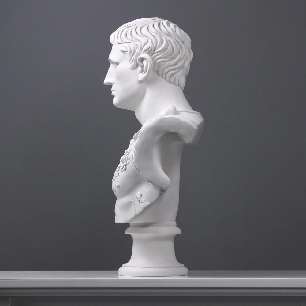 Large Augustus Caesar Bust Sculpture - (35.2lbs) - 4