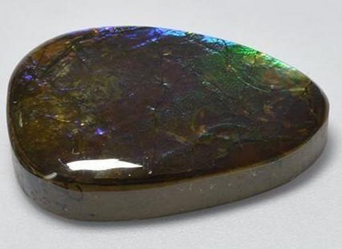 Loose Ammolite Gemstone - 2