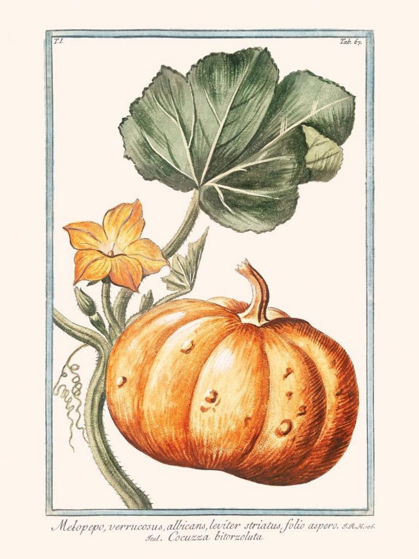 Vintage Pumpkin Print Poster: Vintage Pumpkin Print Poster A poster featuring a vintage-style illustration of an orange pumpkin with a green leaf and flower set against an off-white background. A simple yet classic seasonal