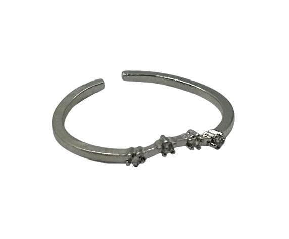 Aquarius Constellation Ring: Aquarius Constellation Ring An Aquarius is someone born between January 20th and February 18th. Some of the notable traits of an Aquarius include that they are totally disinterested in petty gossip