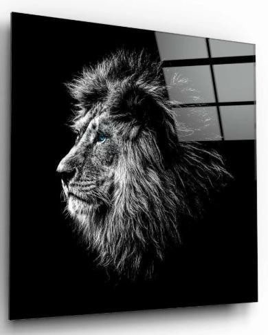Blue-Eyed Majesty Tempered Glass Wall Art: Blue-Eyed Majesty Tempered Glass Wall Art This powerful black and white tempered glass wall art captures the side profile of a lion's face in stunning detail. The monochrome palette highlights the tex