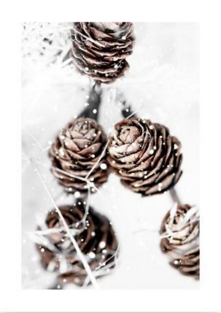 Fallen Pine Cones Poster Print: Fallen Pine Cones Poster Print An artwork showing five brown pine cones resting in snow, with gentle falling snowflakes adding a sparkling touch. The composition captures a quiet winter moment and evo