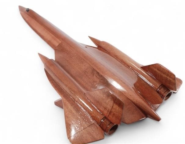 SR-71 Blackbird Model Plane - 3