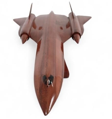 SR-71 Blackbird Model Plane - 4