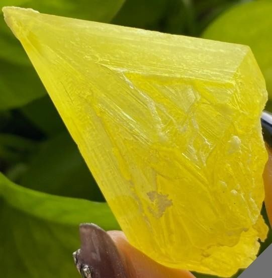 Rare Yellow Sulfur on Quartz Crystal Specimen (1 of 4)