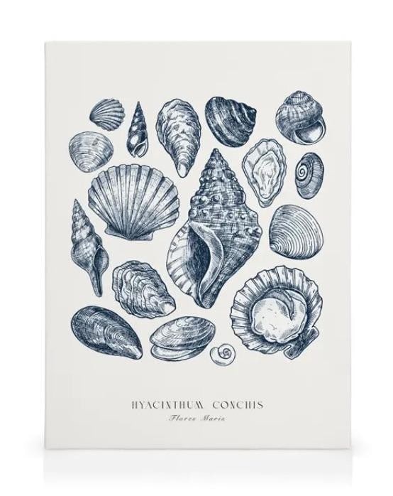 Blue Shells Canvas: Blue Shells Canvas Dimensions: 20x34 x 28x34 View Photos For Further Details