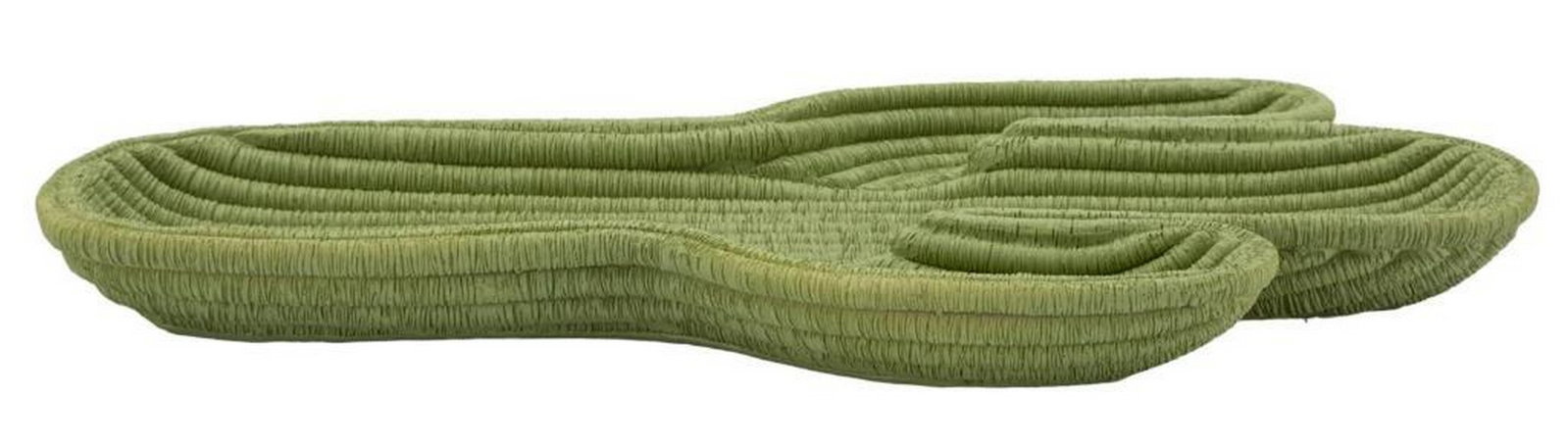 Cactus-Inspired Green Resin Decorative Tray: Cactus-Inspired Green Resin Decorative Tray Bring a touch of nature into your home with this cactus-inspired green resin decorative tray. Designed to blend style and function, it serves as a charming
