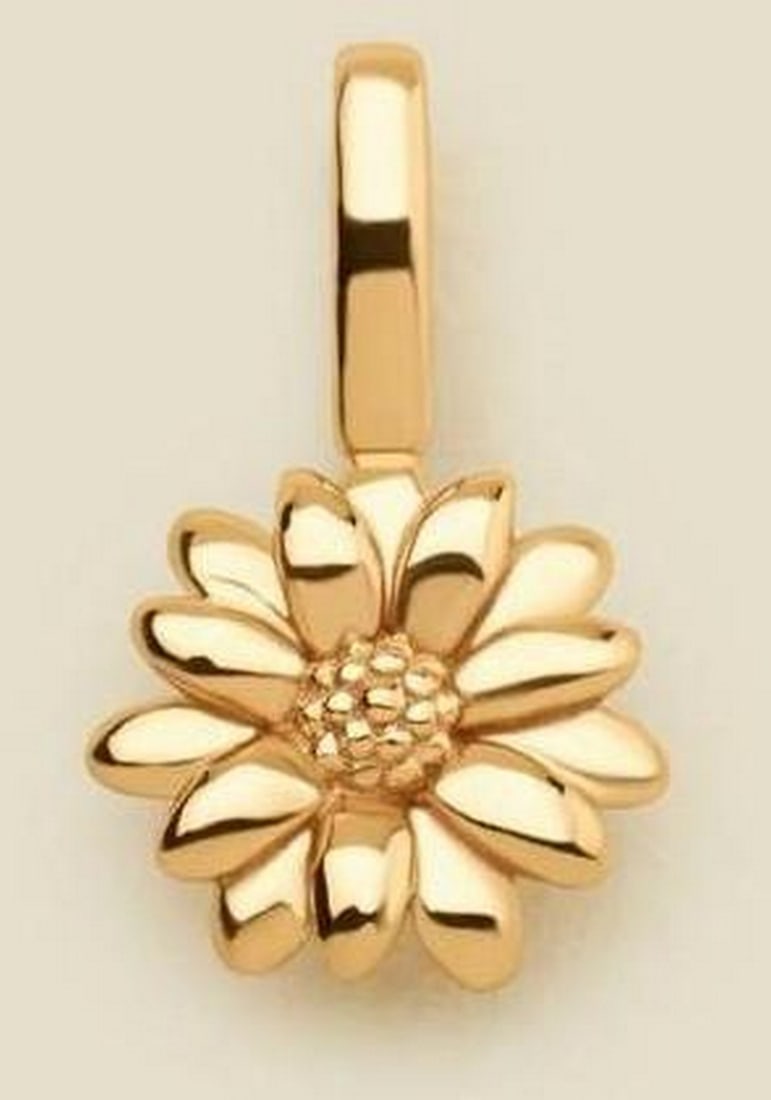 Daisy Bloom April Birth Flower Charm: Daisy Bloom April Birth Flower Charm A symbol of joy and gratitude, this delicate daisy charm captures the beauty of both sunshine and rain. Crafted with lifelike detail, it's a timeless reminder to