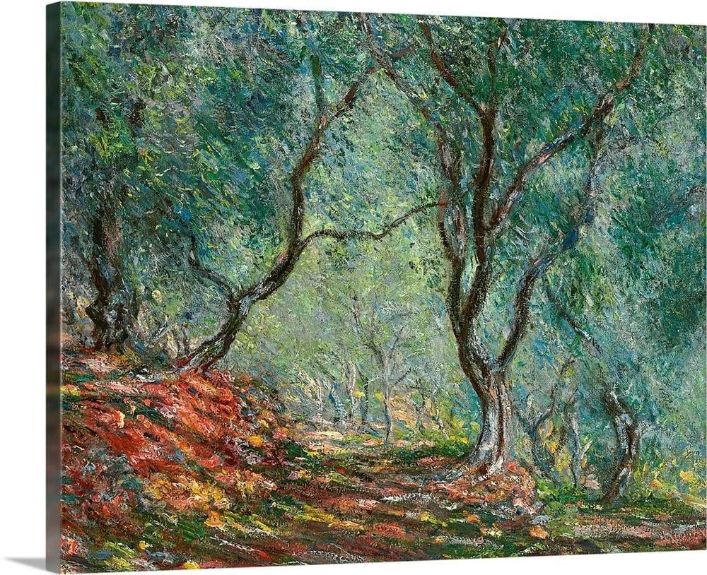 Olive Trees in the Moreno Garden, 1884 - Canvas Reproduction by Claude Monet: Olive Trees in the Moreno Garden, 1884 - Canvas Reproduction by Claude Monet This canvas reproduction features Claude Monet's 1884 depiction of the olive groves in the Moreno Garden. A sunlit path win
