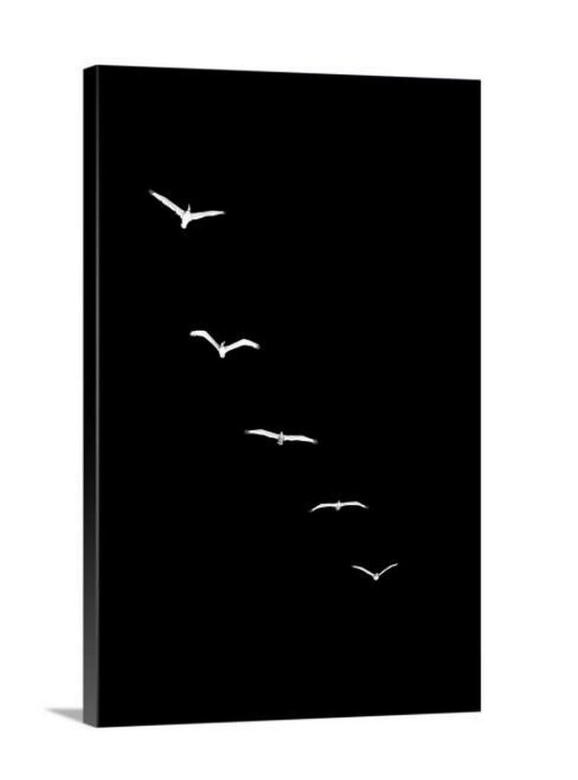 5 White Birds Canvas Reproduction Print: 5 White Birds Canvas Reproduction Print Berlin-based designer Boris Draschoff creates art that follows the literal translation from Greek of the word 'kaleidoscope', meaning 'observation of beautiful