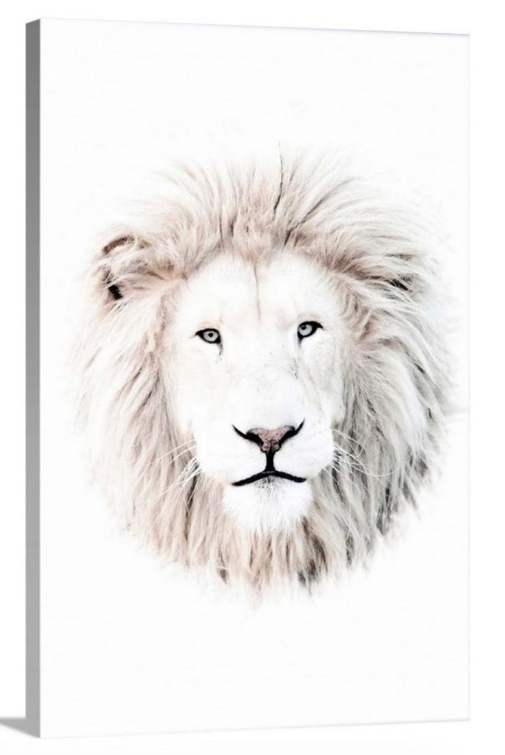 The Bright White Lion Canvas Reproduction: The Bright White Lion Canvas Reproduction This white lion on a white background gives a sense of power and elegance to any room. Perfect to brighten up any dark spaces. Dimensions: 16" x 24" V