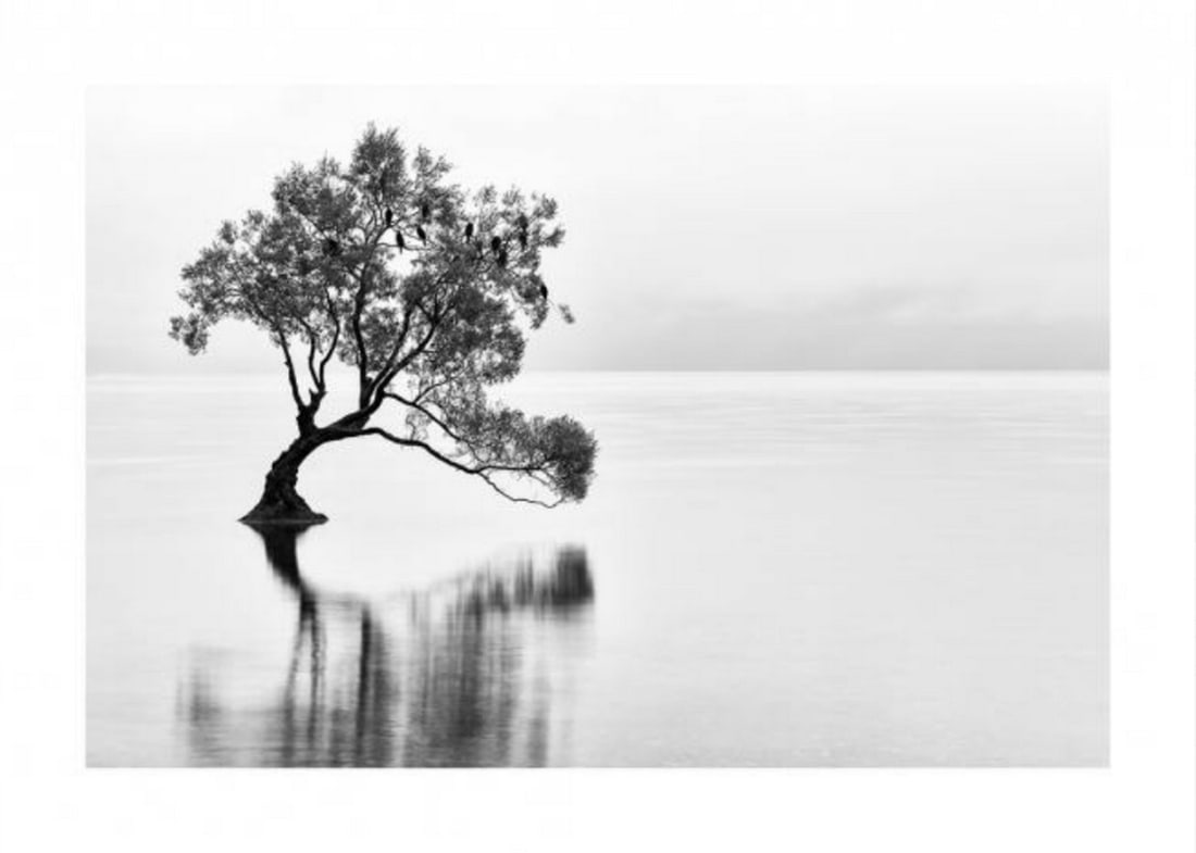 Lonely Wanaka Tree Poster Print: Lonely Wanaka Tree Poster Print Poster with a white border which elegantly frames the design. Dimensions: 50cm x 70cm View Photos For Further Details.