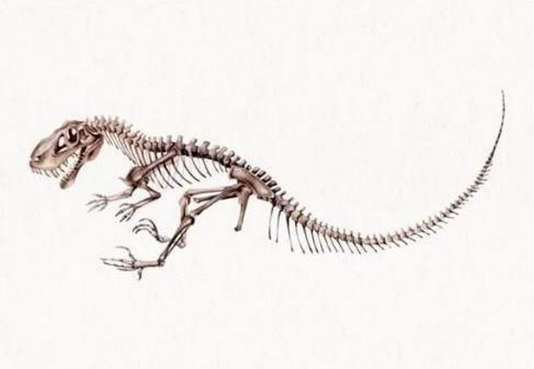 Allosaurus Dinosaur Reproduction Watercolor Print (1 of 2)