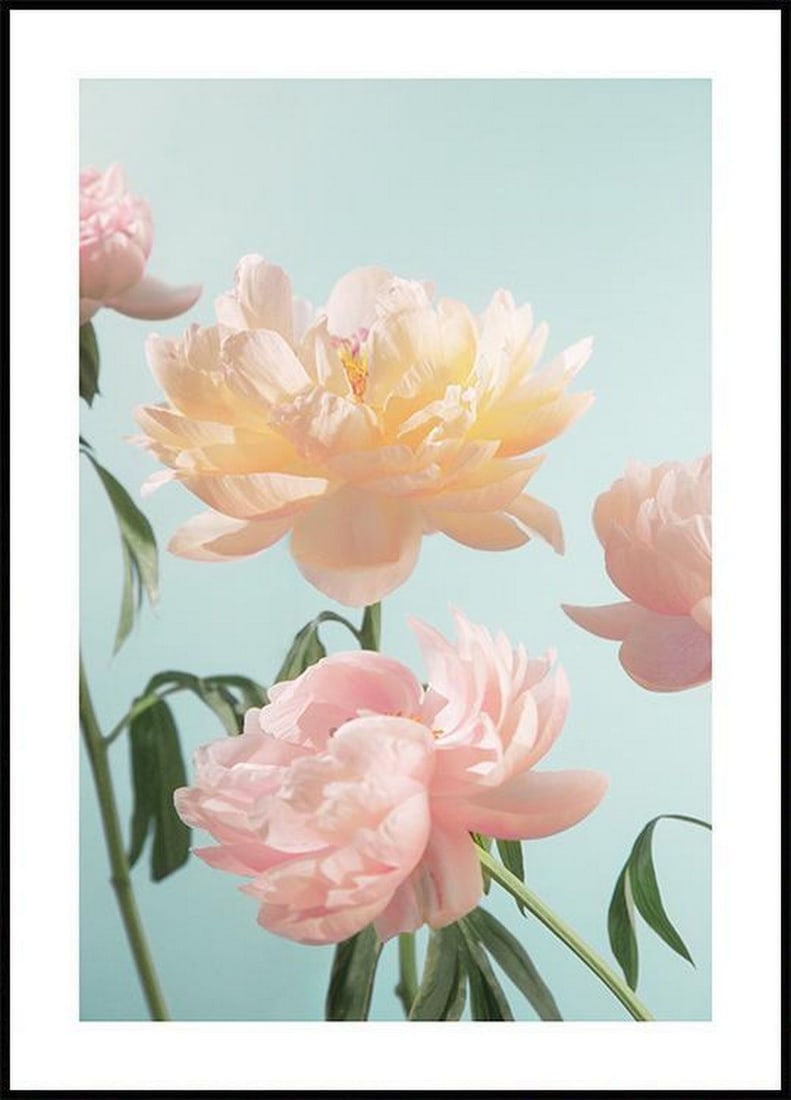 Pretty Pastel Flowers Poster: Pretty Pastel Flowers Poster Art print featuring roses in pastel shades of yellow and pink. Flower prints bring happiness and inner calm to your home. This art print has a grainy structure. The poster