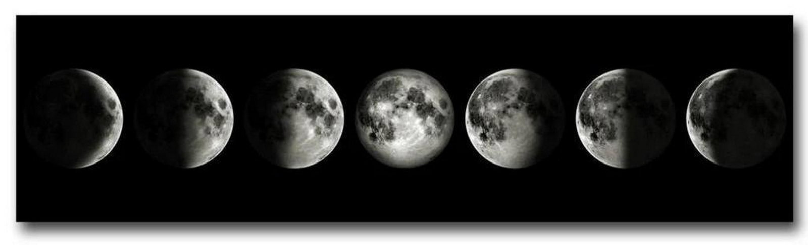 A Journey Through The Lunar Cycle Phases Picture: A Journey Through The Lunar Cycle Phases Picture This picture, on cotton canvas, showcases the phases of the moon, illustrating its enchanting journey through the night sky. From the delicate