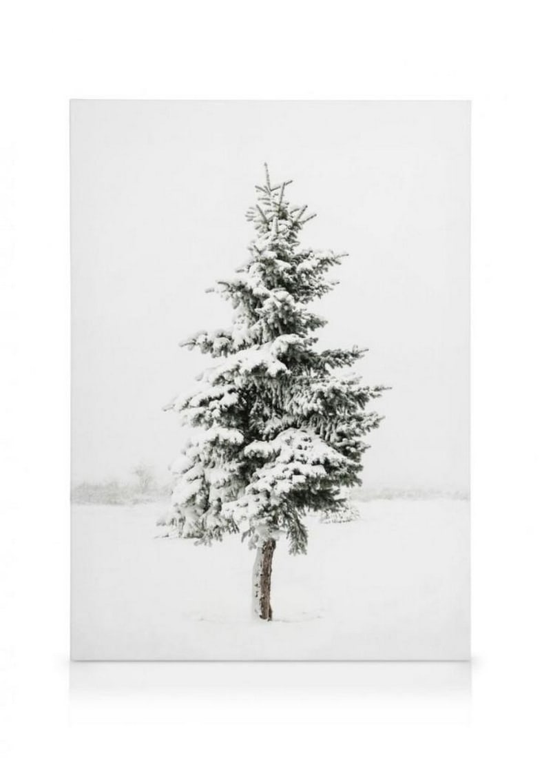 Snow Kissed Spruce on Stretched Canvas: In this enchanting scene captured on a serene winter day, a majestic spruce tree stands as a silent sentinel, cloaked in a pristine blanket of glistening snow. The intricacies of each delicate