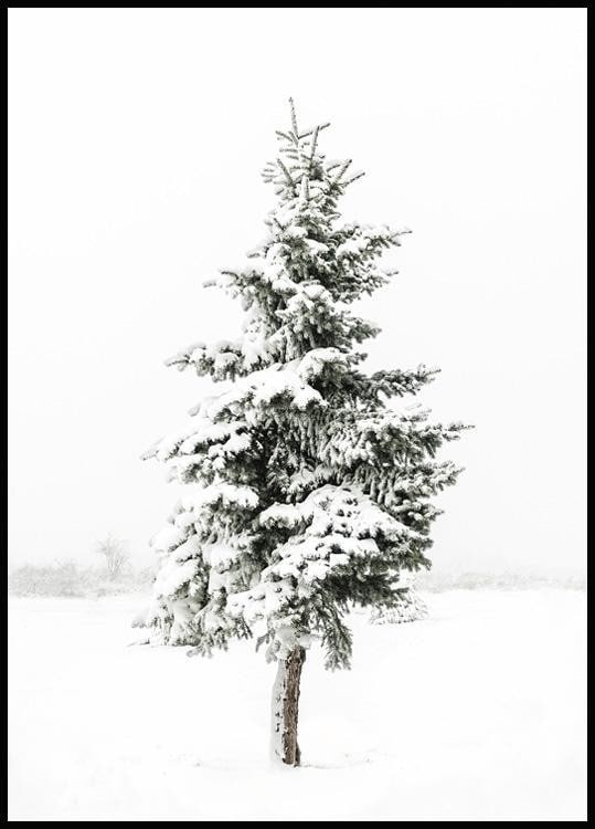Snowy Winter Pine Serenity Wall Art Poster - 28'' x 20'': Snowy Winter Pine Serenity Wall Art Poster - 28" x 20" Immerse yourself in the tranquil beauty of the season with our " Snowy Winter Pine Serenity" Wall Art Poster, a captivating piece