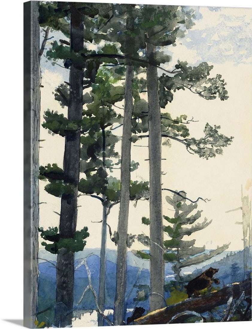 Old Settlers, 1892 Canvas Reproduction By Winslow Homer (1 of 1)