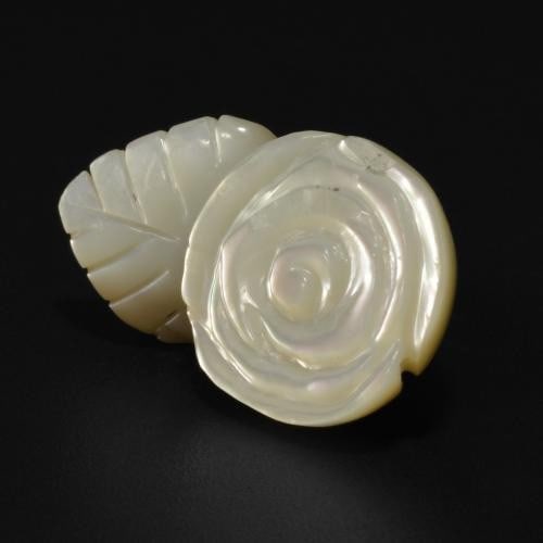 14ct Carved Mother of Pearl Rose: 14ct Carved Mother of Pearl Rose Raw Dimension: 24 x 14 x 8mm Total Carat Weight: 14.71ct Treated: No Please view photos for further details.