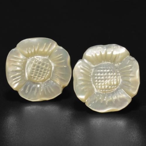 30ct Carved Mother of Pearl Flower: 30ct Carved Mother of Pearl Flower This lot contains a pair of carved Mother of Pearl Flowers, each at 15.19ct Raw Dimension: 18 x 18 x 6mm Total Carat Weight: 30.38ct Treated: No Please view photos