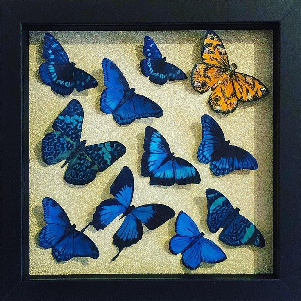 Show Off' Handcrafted Butterfly Artwork by Amanda Deadman Art: 'Show Off' Handcrafted Butterfly Artwork by Amanda Deadman Art This deep box framed artwork showcases hand-cut and hand-painted watercolour butterflies mounted on champagne-coloured glitter cards. Mos