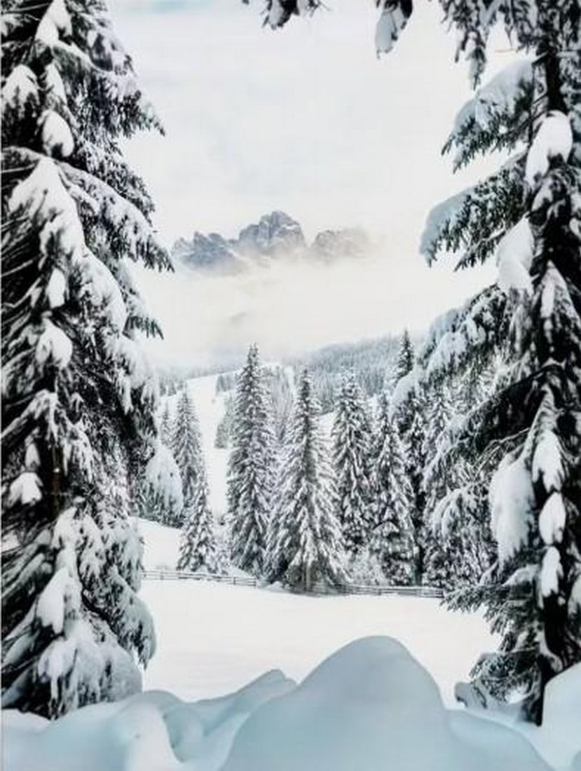 Snowy Valley Canvas Print: Snowy Valley Canvas Print An artwork showing a winter landscape with snow-covered pine trees and mountains in the background. The composition uses soft whites and greens to create a calm, quiet atmosp
