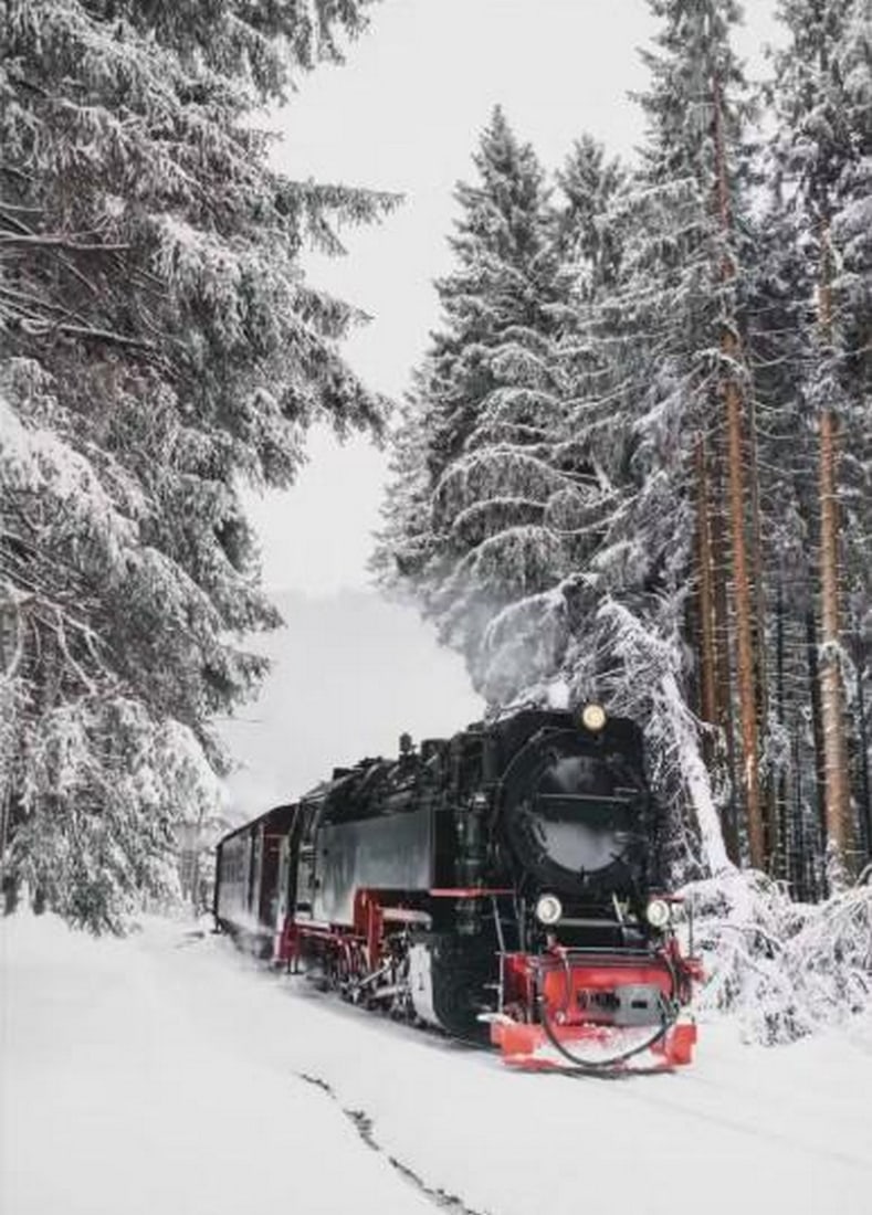Red & Black Winter Train Canvas Print: Red & Black Winter Train Canvas Print An artwork showing a black steam locomotive with red details traveling through a snowy forest. The composition captures the motion and charm of a winter scene.