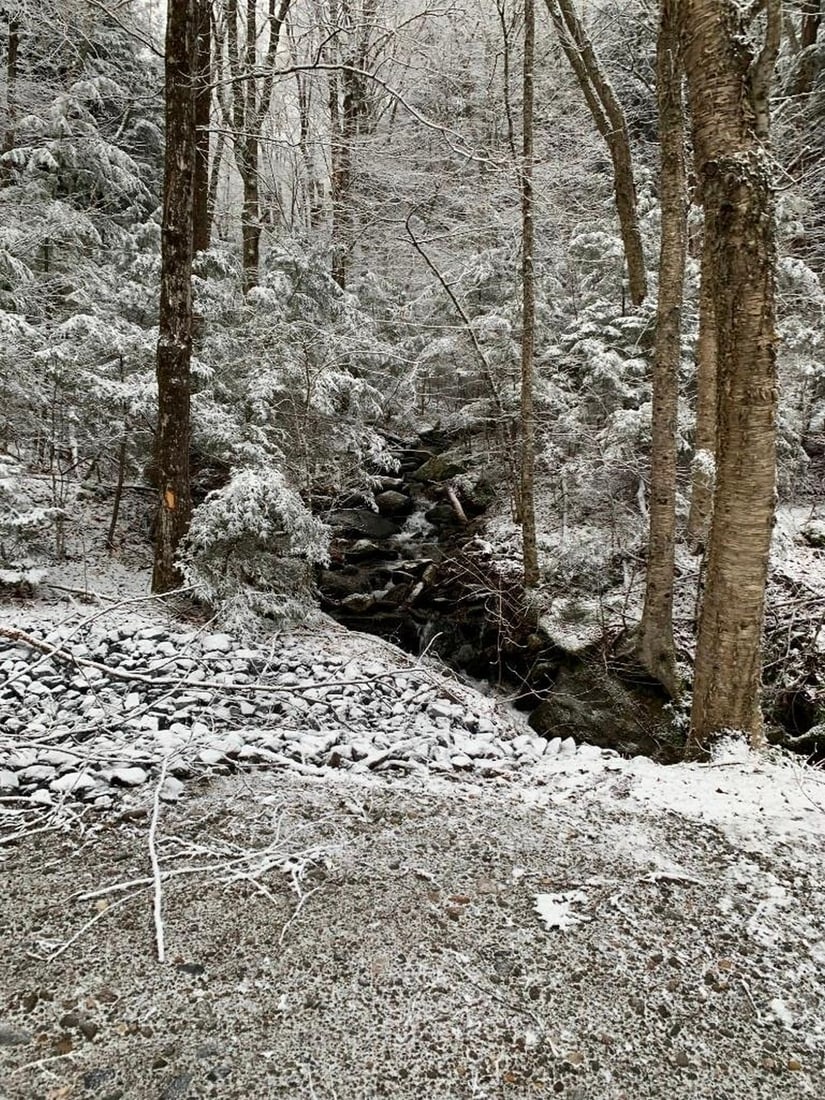 Whispers of Winter: Whispers of Winter Capture the serene beauty of winter with this exclusive hand-painted canvas offer. The photograph reveals a peaceful forest blanketed in snow, where icy branches glisten and a