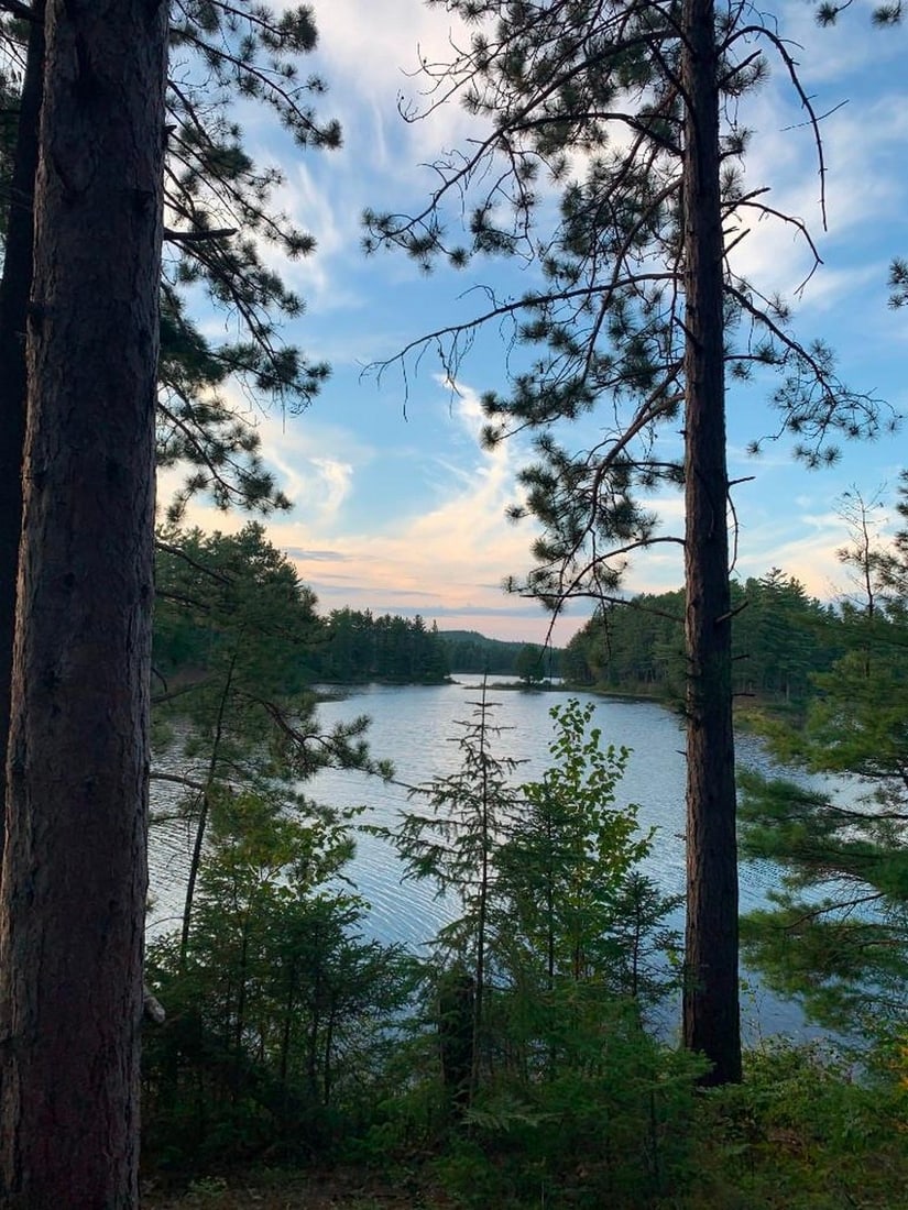 Hidden Lake View: Hidden Lake View Experience the quiet beauty of a secluded lake with this exclusive hand-painted canvas opportunity. The photograph is taken through a frame of trees, offering a natural window to the