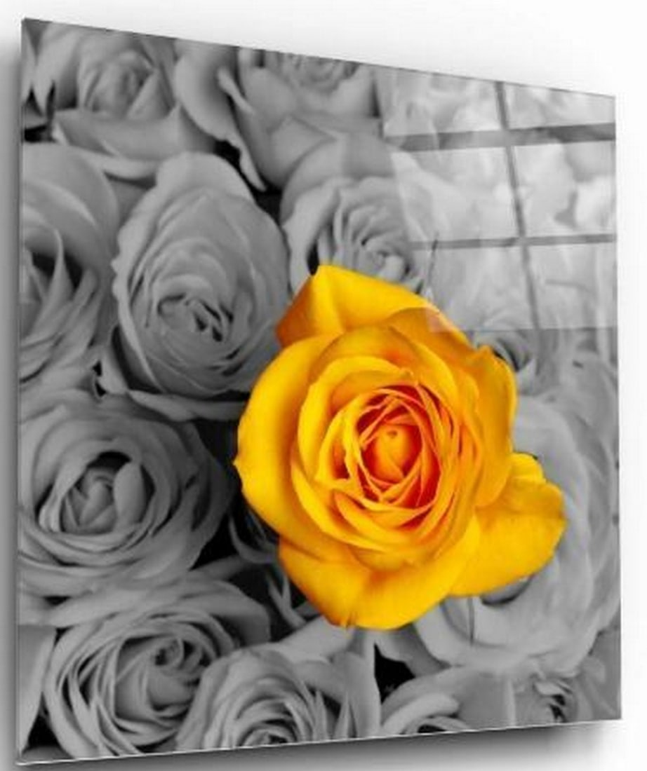 Spotlight on Yellow Rose Tempered Glass Wall Art: Spotlight on Yellow Rose Tempered Glass Wall Art This elegant tempered glass wall art showcases a bouquet of roses rendered in classic black and white, with a striking bright yellow rose at the center