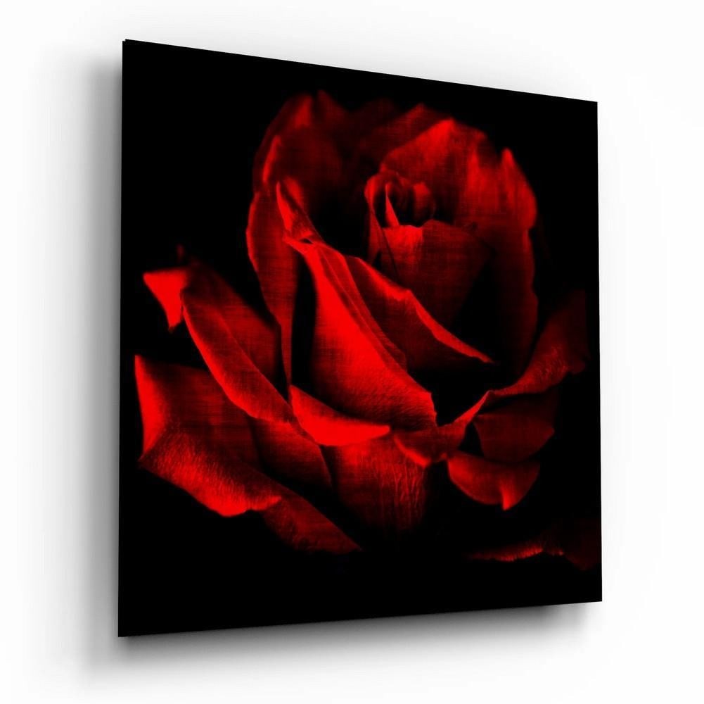 Crimson Rose Tempered Glass Wall Art: Crimson Rose Tempered Glass Wall Art This tempered glass wall art features a detailed red rose in full bloom, set against a contrasting background that enhances its form and color. The composition hig