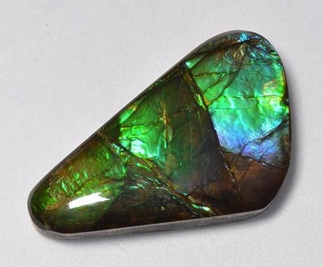 13.85 ct Natural Multicolor Ammolite - Fancy Cabochon: 13.85 ct Natural Multicolor Ammolite - Fancy Cabochon Introducing the Natural Multicolor Ammolite, a vibrant gemstone that displays a stunning spectrum of colors across its surface. The fancy cabochon