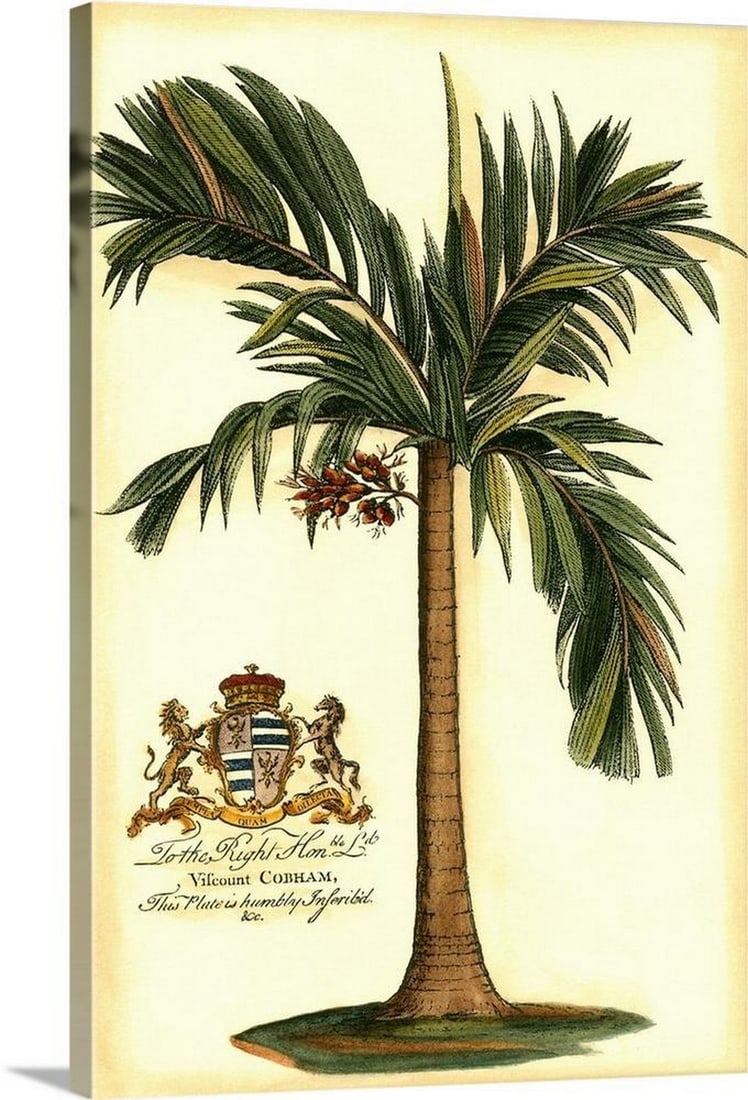 British Colonial Palm I - Canvas Reproduction (1 of 2)