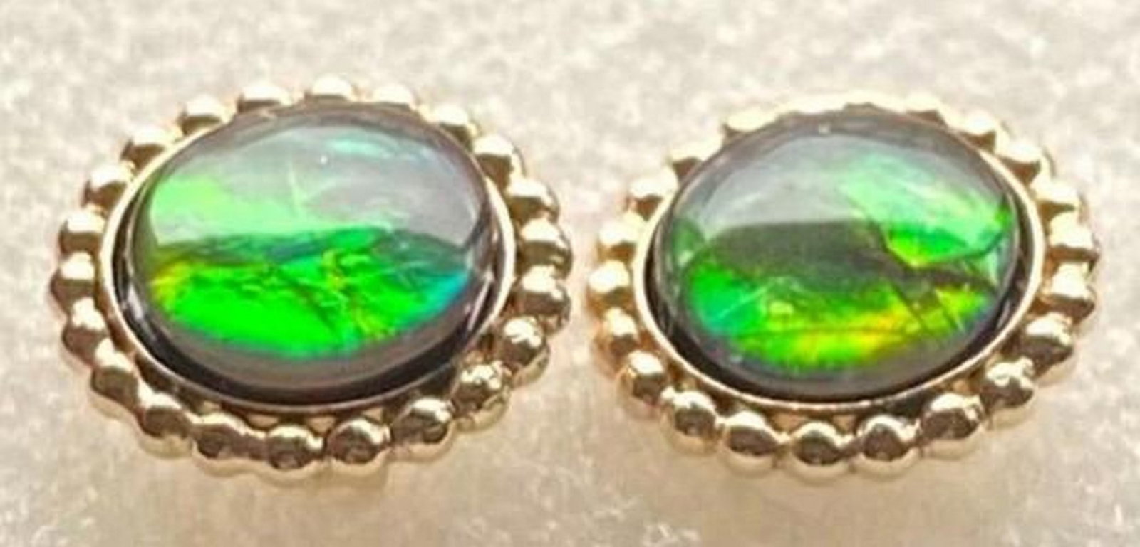 Primal Flame Ammolite Stud Earrings - 2